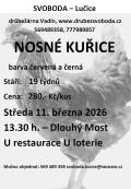 kuřice